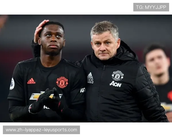 英超球队平均年龄排行及球队年轻化趋势